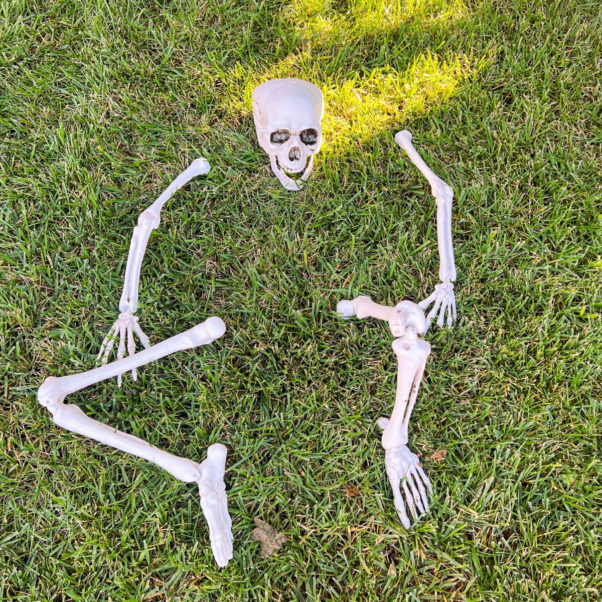 Buried Skeleton - PopFun