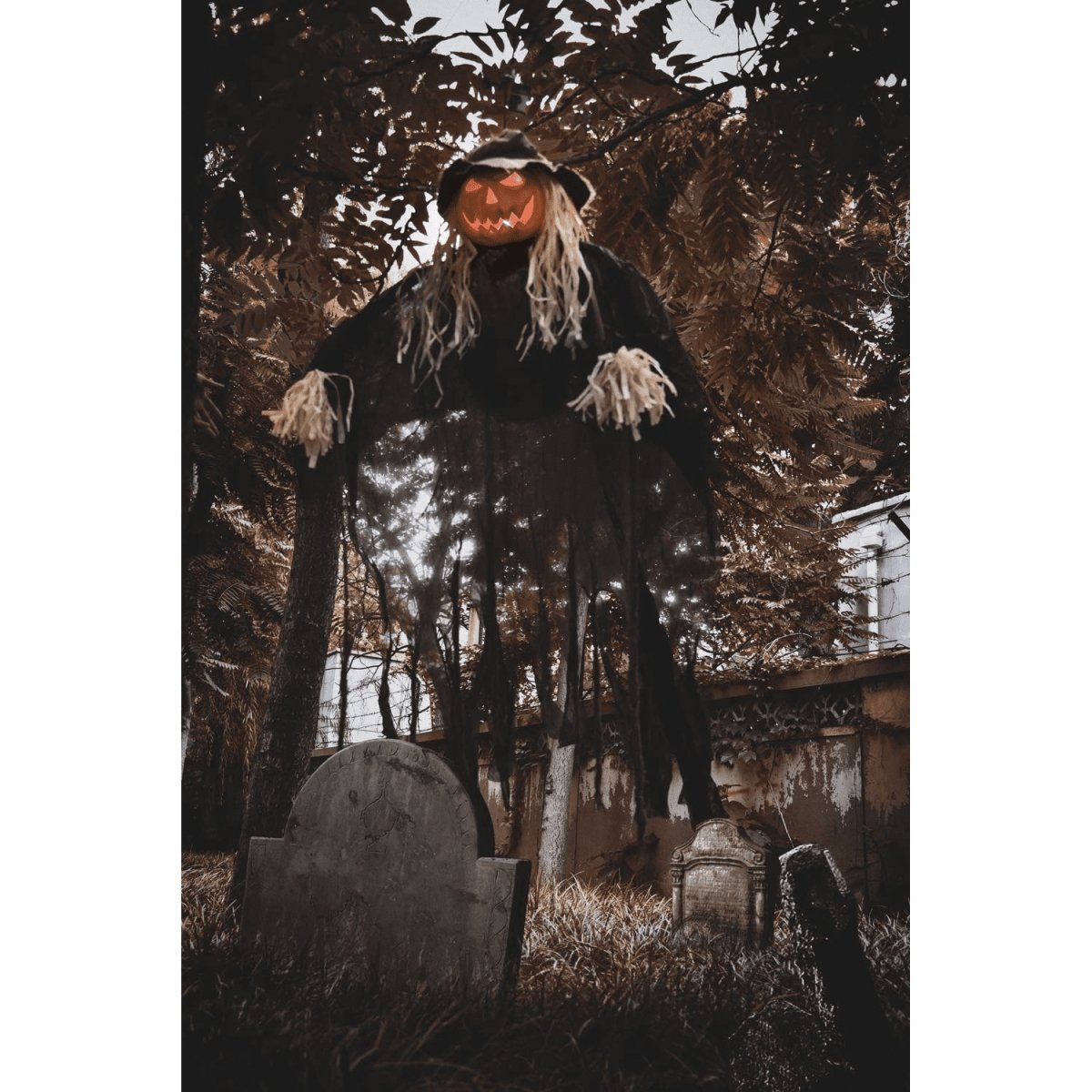 Pumpkin Man - PopFun